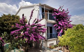 Apartments Irena