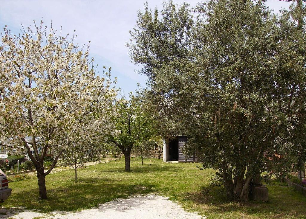 Apartments Irena Trogir Zewnętrze zdjęcie