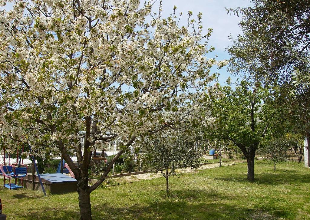 Apartments Irena Trogir Zewnętrze zdjęcie