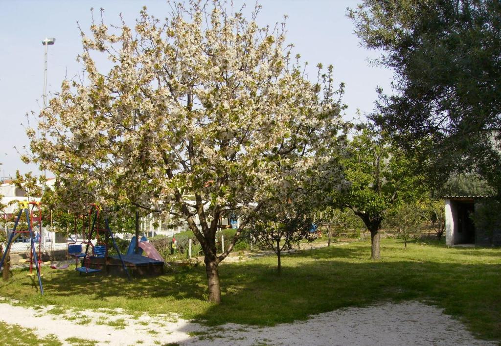 Apartments Irena Trogir Zewnętrze zdjęcie